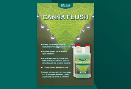 CANNA FLUSH Brochure