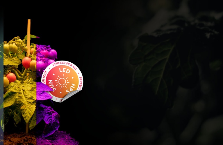 Nutrients CANNA : Parfaits pour toutes les sources de lumière, y compris les LED, les lampes HPS et la lumière du soleil