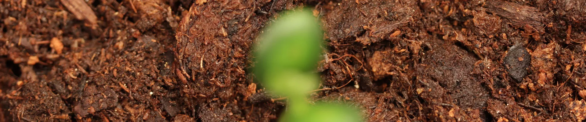 Contents of potting soil