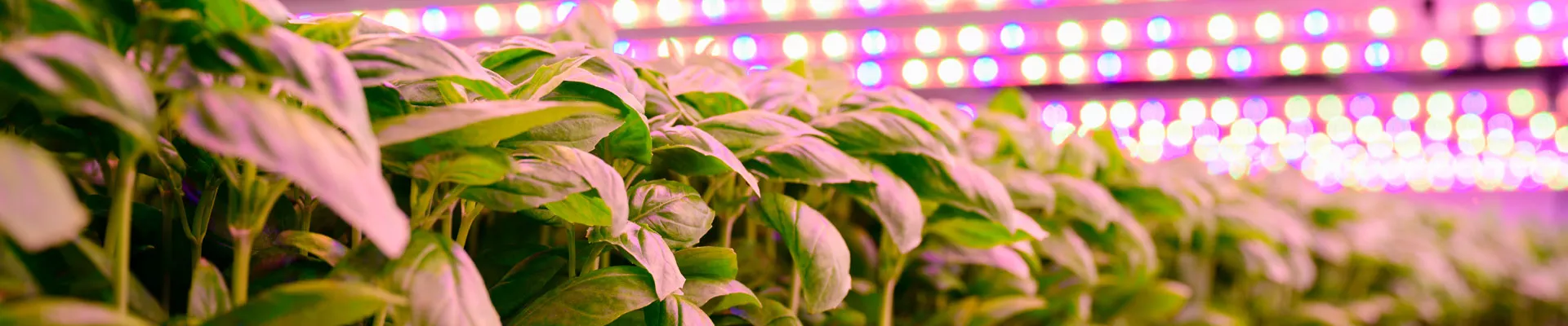 Adaptation à un nouvel éclairage – aucune bouteille spéciale nécessaire