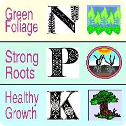 Mesurer les niveaux d'azote, de phosphore et de potassium (NPK)