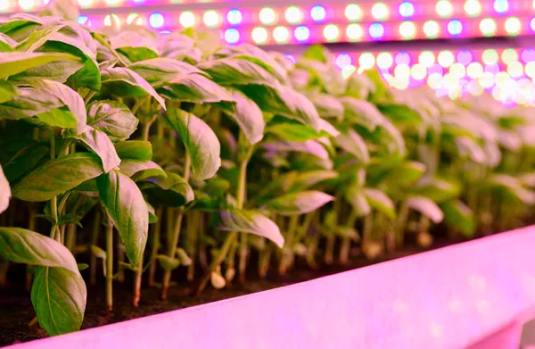 Adaptation à un nouvel éclairage – aucune bouteille spéciale nécessaire