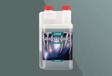 CANNA RHIZOTONIC