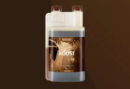 BIOCANNA BOOST