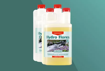 CANNA Hydro Flores