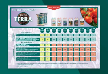 CANNA TERRA schéma de nutrition: Tomates
