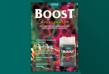 CANNABOOST Brochure