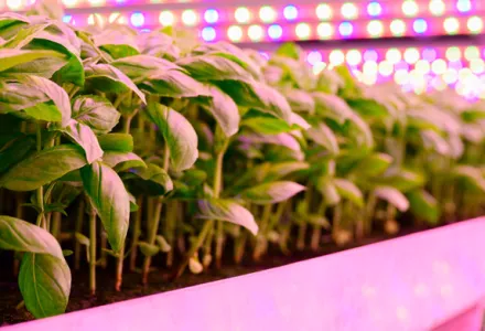 Adaptation à un nouvel éclairage – aucune bouteille spéciale nécessaire
