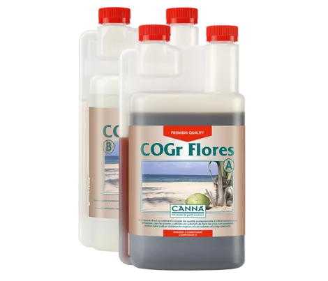 CANNA COGr Flores