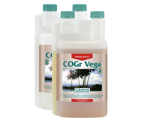 CANNA COGr Vega